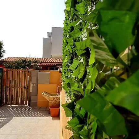 Dream House Fiumicino Villa Exterior photo